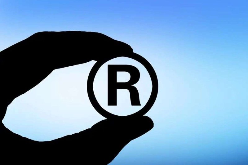 商标驳回复审:企业品牌保护的关键之钥